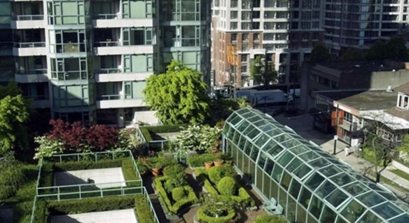 Így zöldítsd a környezetedet okosan – kis lépések, nagy hatás