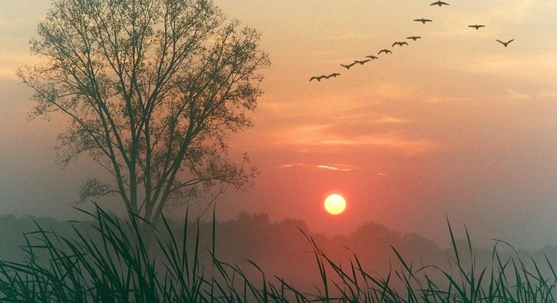 Folytatódik a nyugodt őszi idő