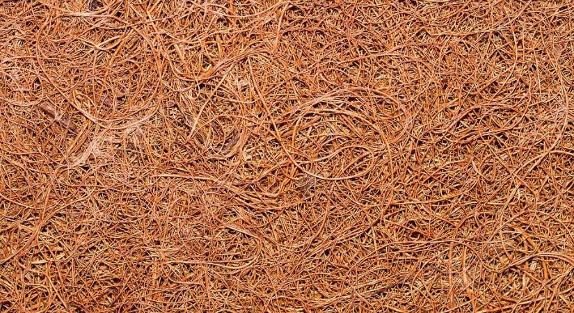 Talajismeret: amit a kókuszrostról tudni érdemes