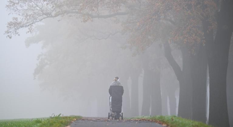 Kiadták a figyelmeztetést: sűrű köddel indul a hét, csapadék is előfordulhat