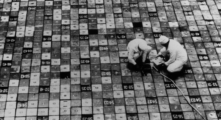 Szennyeződésnek hitték, kiderült, hogy sugárvédő pajzs lehet a csernobili reaktor falán talált gombából