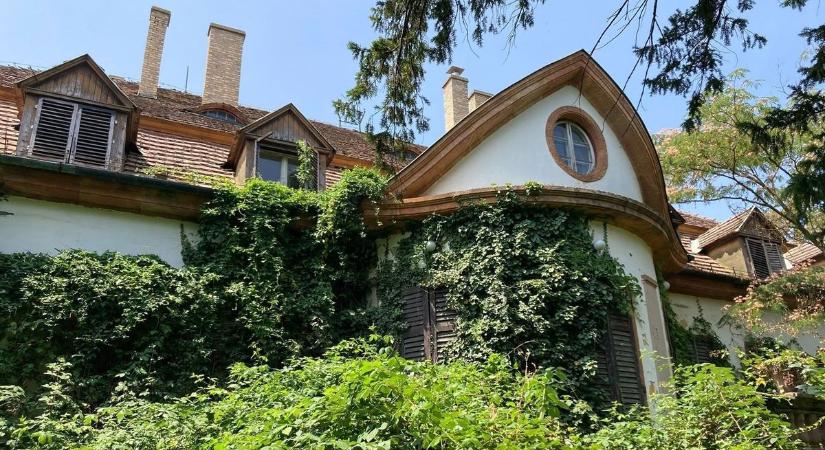 Döbbenetes képek – Így néz ki most, teljesen lepusztult a tolnai kastély (fotók)