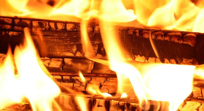 Tűzifa-feldolgozás profi módon: így szárad gyorsabban