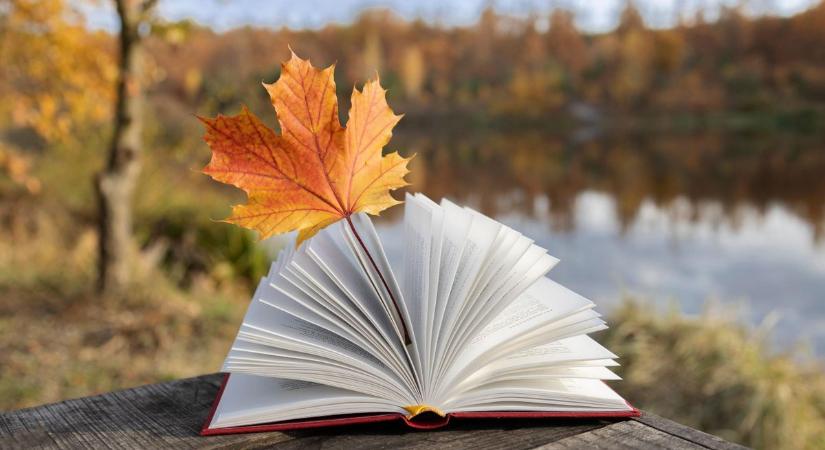 Őszi tanfolyamok Vasban: dajka, HR-es vagy inkább könyvelő lennél?