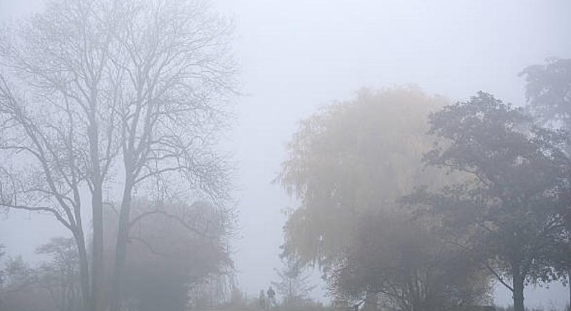 Igazi boksz lesz ma égen és földön