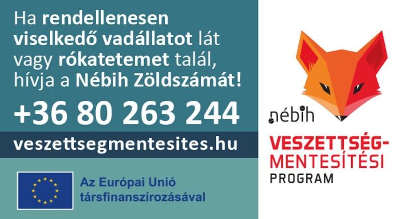 Tegyünk együtt a veszettség megelőzéséért