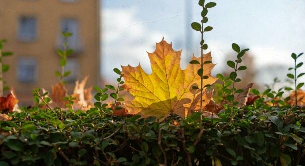 Változóan felhős, csendes őszi hét – a végén lehet csapadék