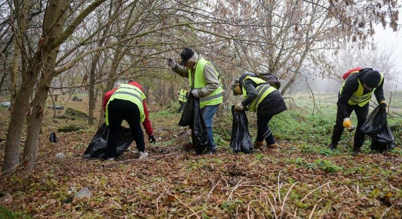Hulladék helyett összefogás: így segítenek a hatvaniak a természetnek