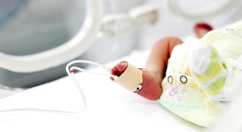 Mesterséges méh adhat esélyt a koraszülötteknek