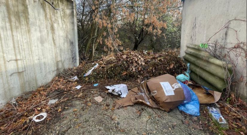 Frissen műtött főorvosnő tűnt el a kórházból, horrorfilmbe illő helyen, holtan találták meg