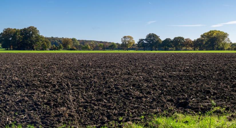 A talajban lapuló veszély: mitől függ a gyógyszermaradványok sorsa?