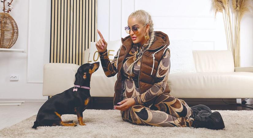 Ilyen aranyos Suzy házikedvence