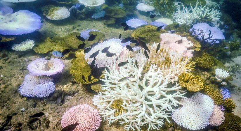 Hiába futunk neki már a harmincadik klímacsúcsnak, az emberiség valószínűleg lekésett a felmelegedés megállításáról