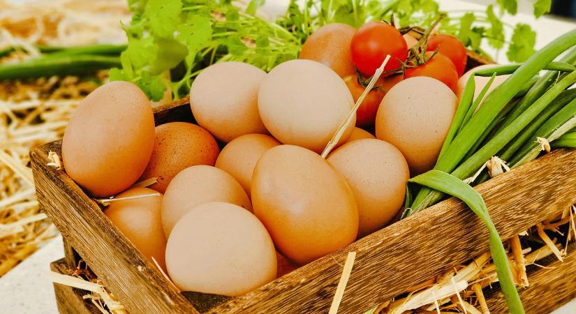 Ismét REL expót tartanak Jakabszálláson