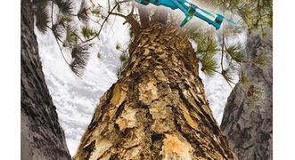 Jónas Reynir Gunnarsson: Az erdő halála