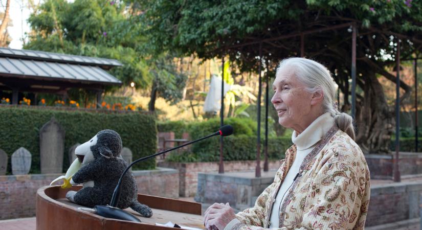 Jane Goodall 11 mindennapi szokása, ami segített neki 91 évig élni