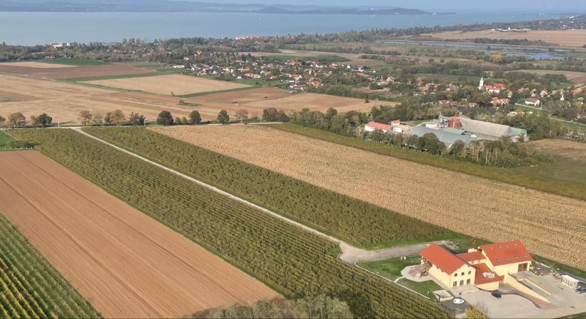 Meglepő: ezen a kontinensen keresik a jövőjüket a magyar prémium borok