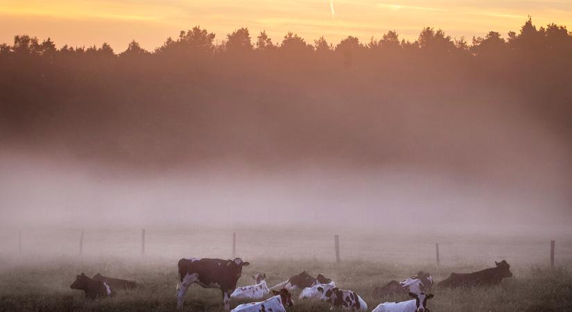 Párás reggel után napsütéses délután hétfőn
