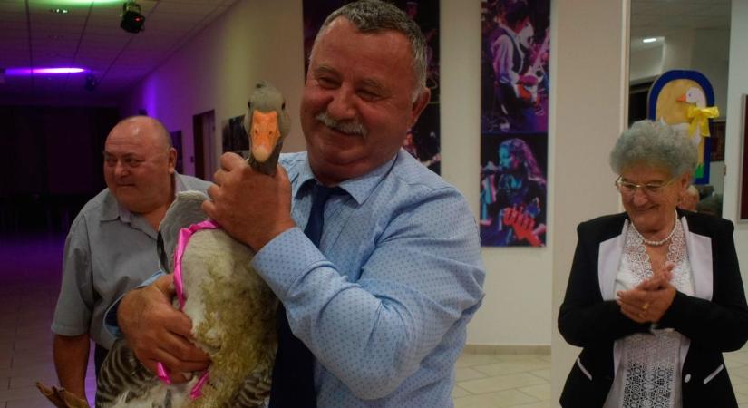 Élő libát sorsoltak ki a nagyatádi kertbarátok Márton-napra