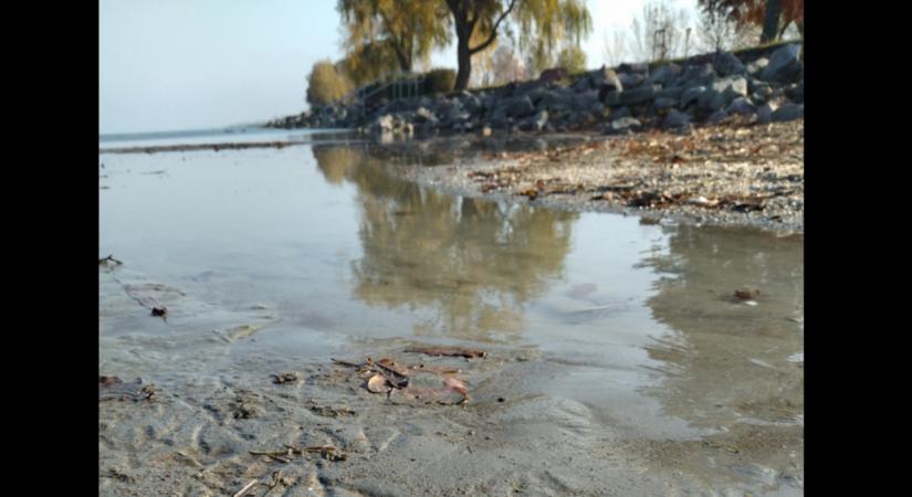 Megrázó látvány a Balatonnál: a Zamárdi moló szinte kiszáradt - friss videó és fotók!