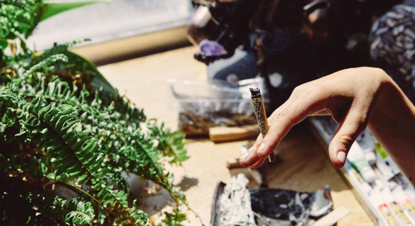 Ezért nem mindegy, van-e kannabisz üzlet egy iskola közelében!