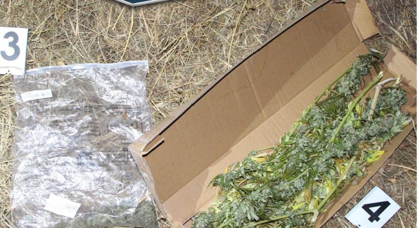 Marihuánát és amfetamint találtak két férfinál