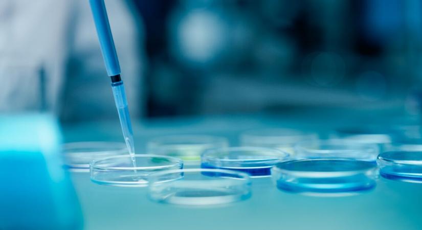 Nincs több remény – közel 10 év után azonosították a 22 éves korában eltűnt fiatal maradványait