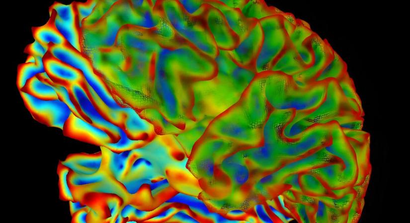 Az eddigi legpontosabb gondolatolvasó technológiát mutatták be japán kutatók