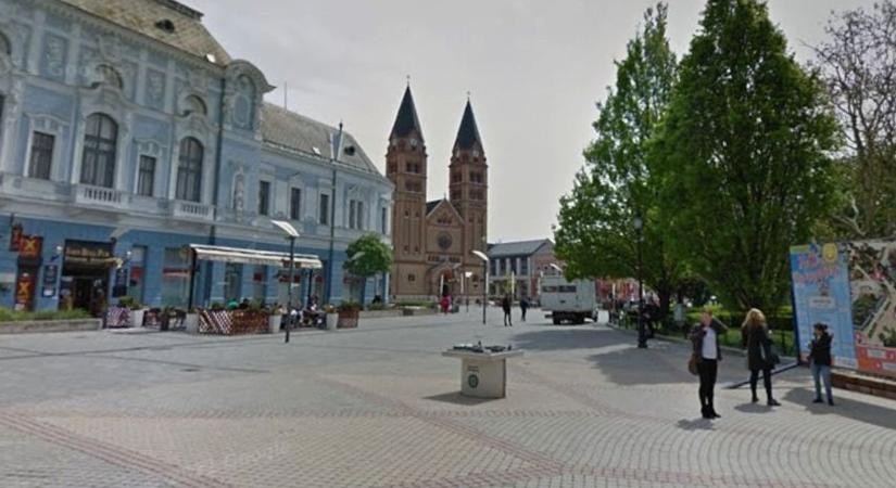 Aranyszőrű báránykát találtak Nyíregyházán – valaki biztosan hiányolja már