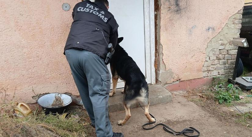 Gusztustalan sufnigyár bukott meg Hajdú-Bihar mellett, a higiéniát hírből sem ismerték a illegális üzemben – fotókkal, videóval