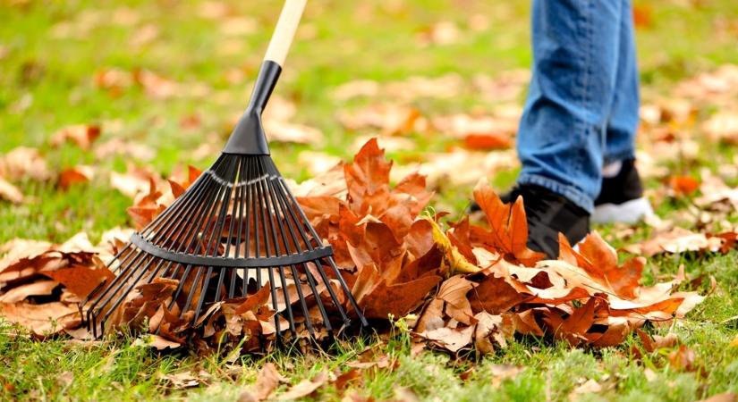 Ártunk vagy segítünk a kertnek, ha ősszel összegereblyézzük a leveleket?