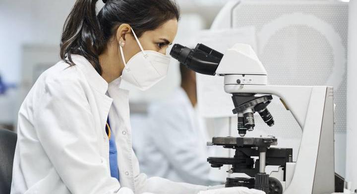 Megállíthatatlanul terjed ez a májban élő parazita: már Somogyban is felbukkant