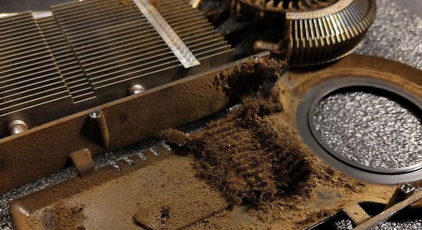 Nagyon durva: Így néz ki egy videókártya, amit 17 év alatt egyszer sem takarítottak ki