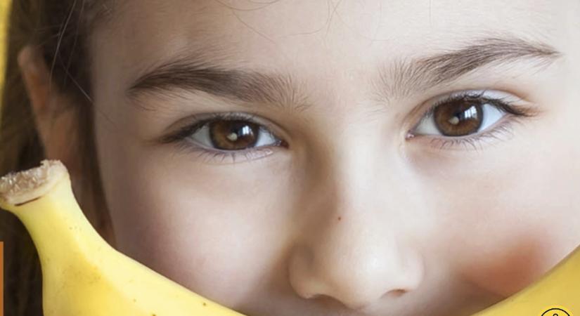 Kapszulakamrával az élelmiszerpazarlás ellen – a Nébih Maradék nélkül program tanácsai