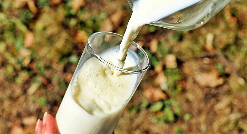 Minden tej közül ez a legjobb: az orvosok és kutatók is egyetértenek