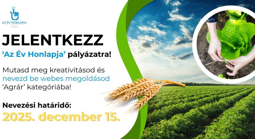 4 szempont, amiért gazdaként megéri honlapot fenntartani