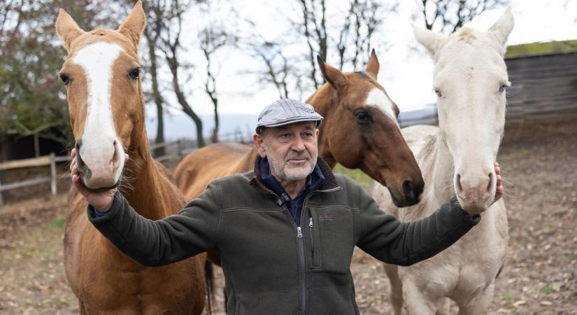 A hétvége legjobb fotói egy helyen