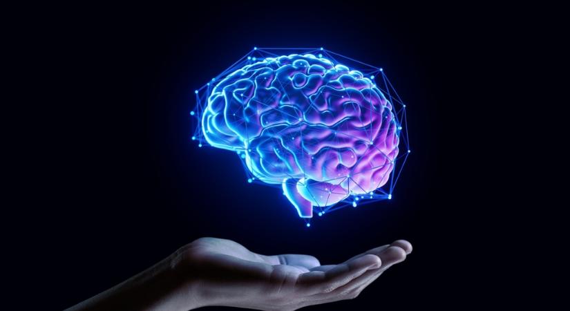 Tényleg képes megjósolni a jövőt az emberi agy?