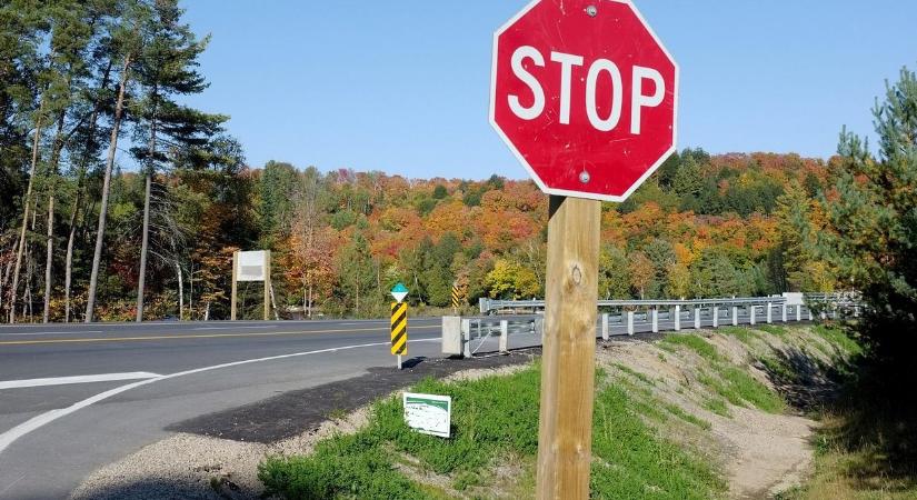 Közös képviselő – Józsa Márta jegyzete