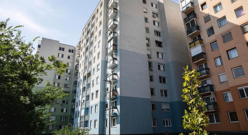 Ingyen adják Debrecenben! A boltokban újonnan iszonyat drágák, most viheti bárki!