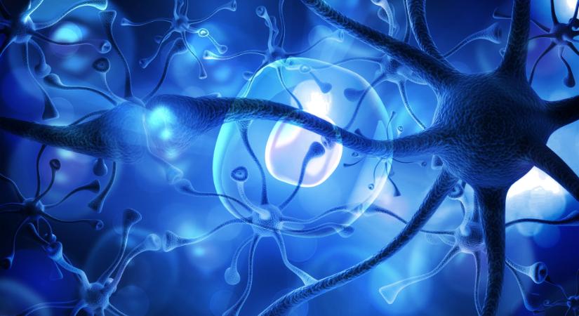 Miért vonz minket újra és újra a fájdalom?