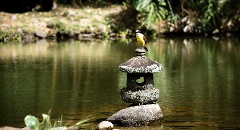 Feng shui a kertben a boldog, szerencsés életért
