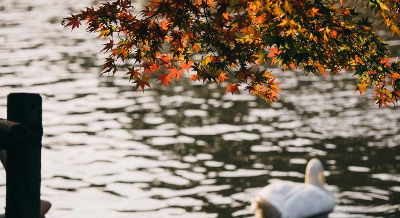 Felmelegedés jön, majd hideg és meleg napok váltják egymást