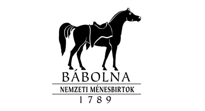 Nyilvános pályázati felhívás Ölbői-tó bérletére és üzemeltetésére