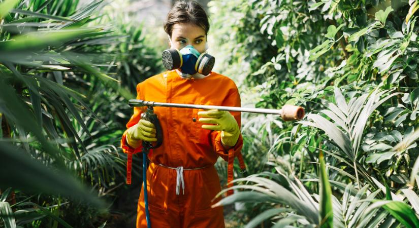 Az őszi lemosó permetezés megmentheti a növényeit