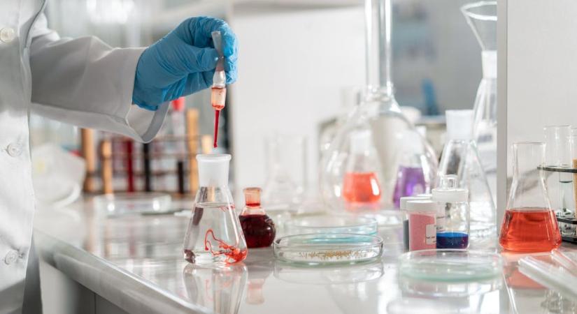 Állatjóléti támogatás 2025/2026 – Ezt a 6 teendőt ne felejtsd el, ha nem akarod elveszíteni a támogatást!