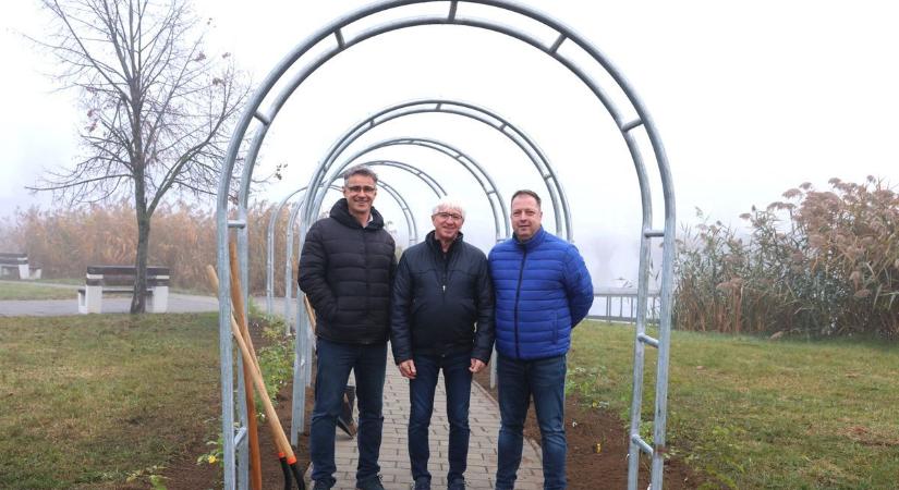 Futókaland lehet a bujtosi rózsalugas (fotókkal és videóval)