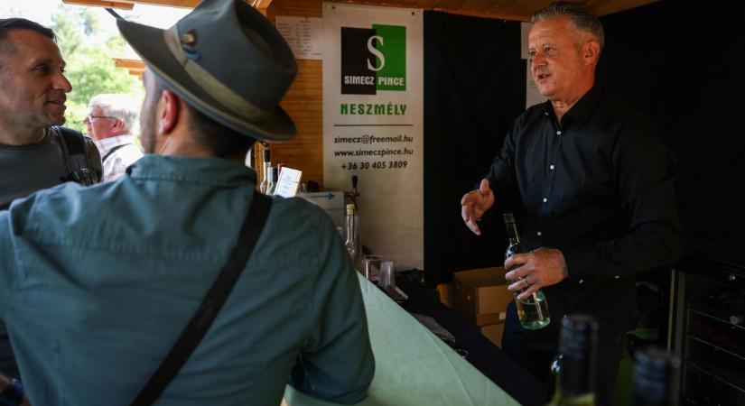 Forró, fűszeres programmal vár az I. Forral Bor Fesztivál Tatabányán