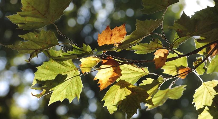 Ütött az óra: a szakértők szerint piros riasztási szinten állunk