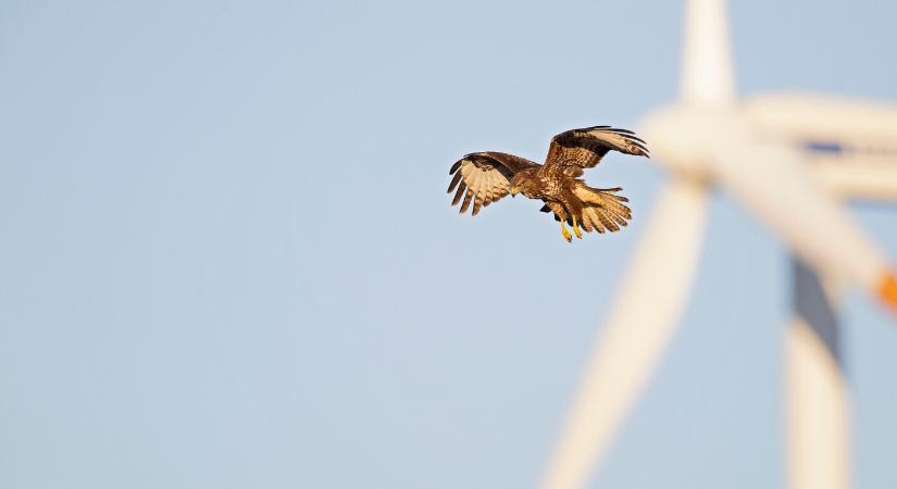 Hol épüljön szélerőmű, és hol ne? Szlovákia háromnegyede „no-go zóna”